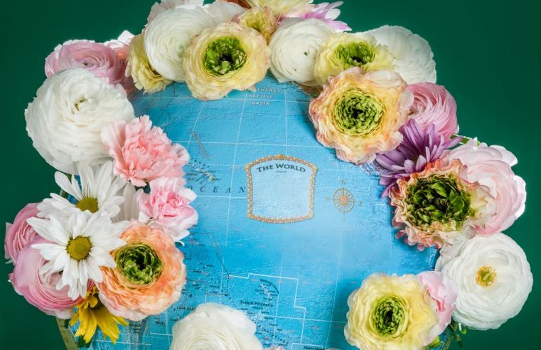 The Pandemic could be an opportunity to build a better world