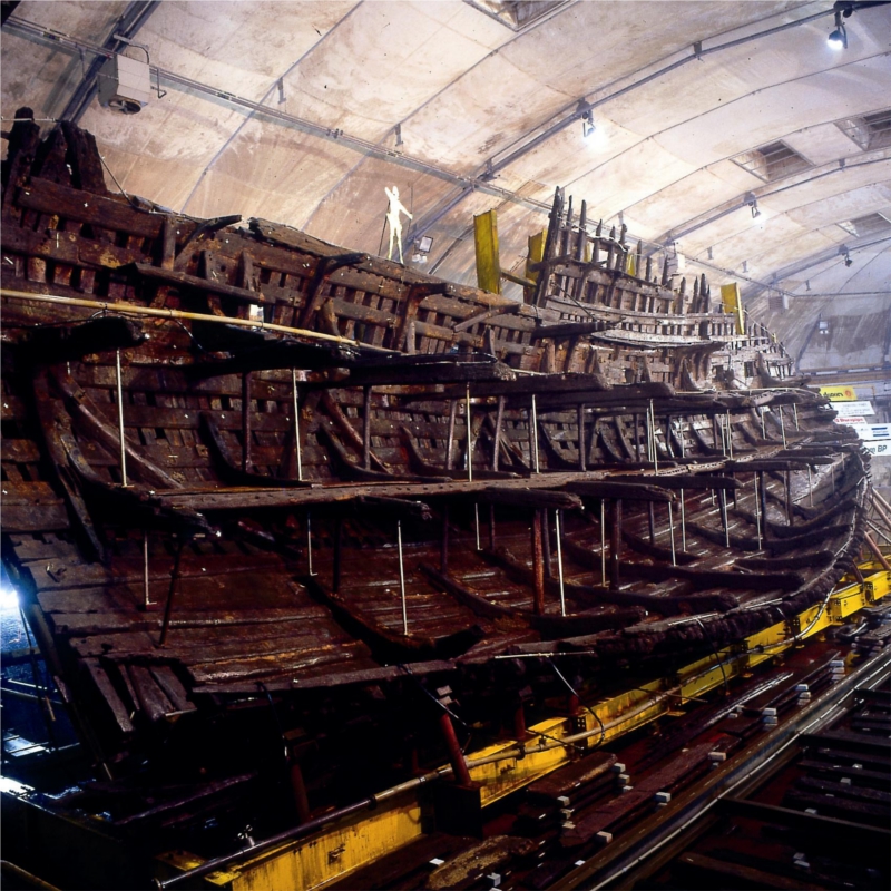 The Mary Rose was a great vessel. Its crew was quite surprising