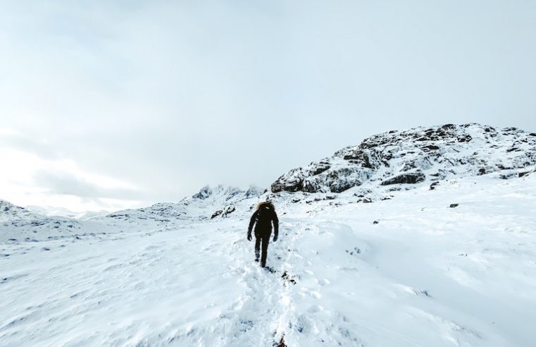 Canada Goose stops using fur on its coats