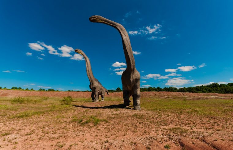 New and largest Australian dinosaur species remains found