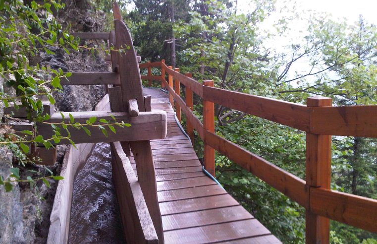 Dare to walk those dangerous trails