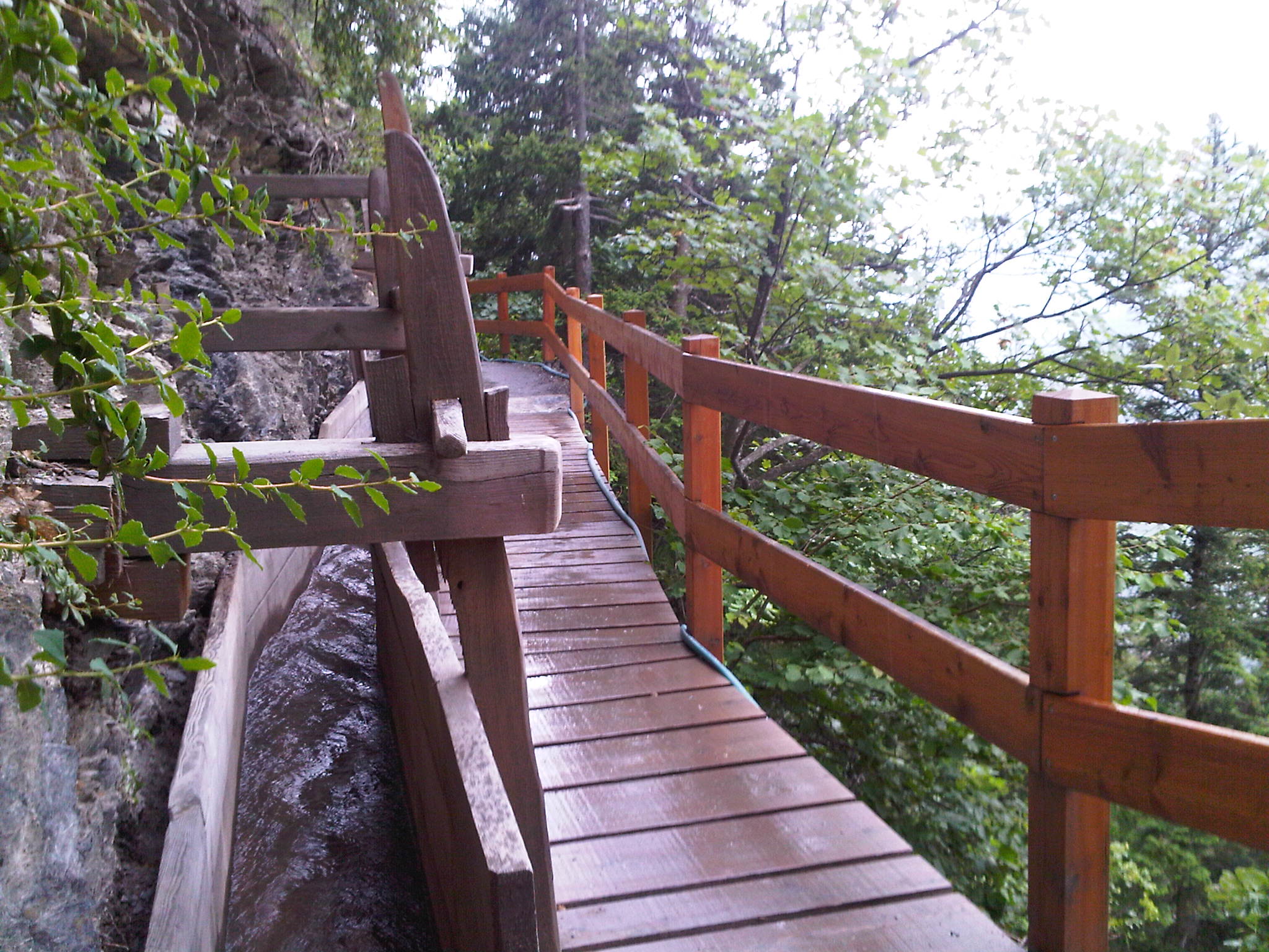 Dare to walk those dangerous trails