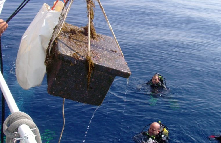 The Mediterranean island that appeared overnight and vanished the same way