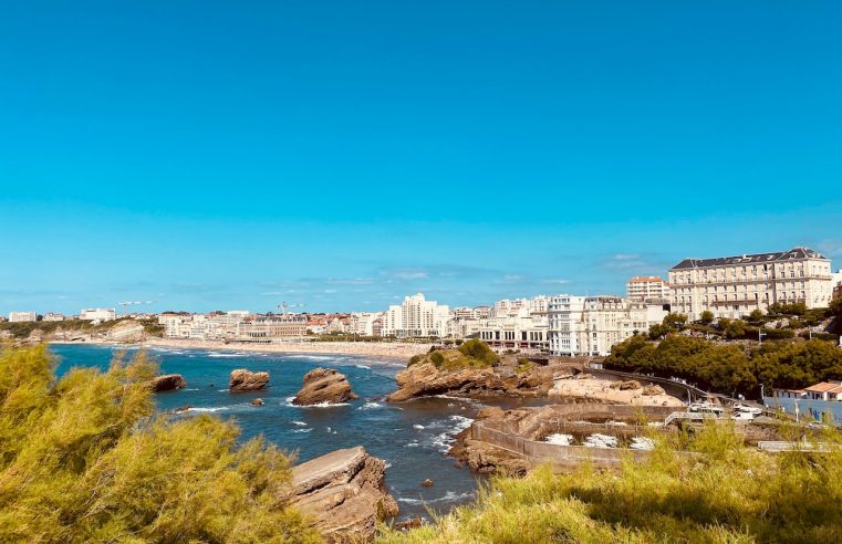 Have you had some Basque cake yet?