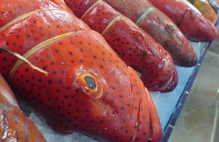 Europe also has its sushi tradition