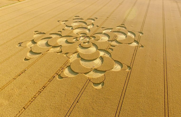South-west England is the world capital of crop circles