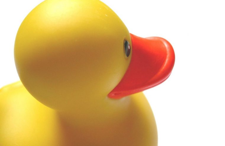 The giant rubber ducky appears in a Maine harbor