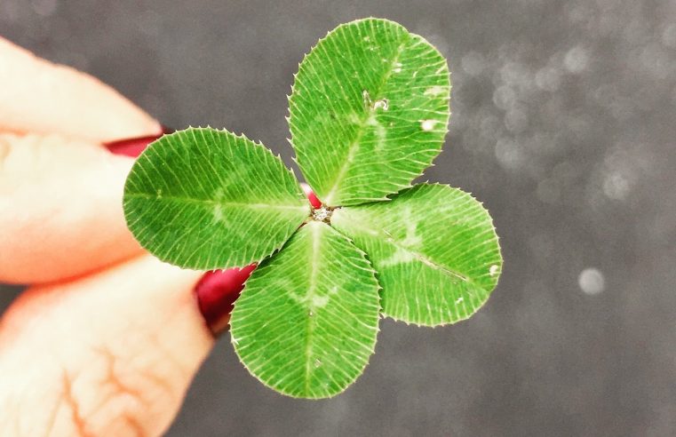 lucky man, lucky store