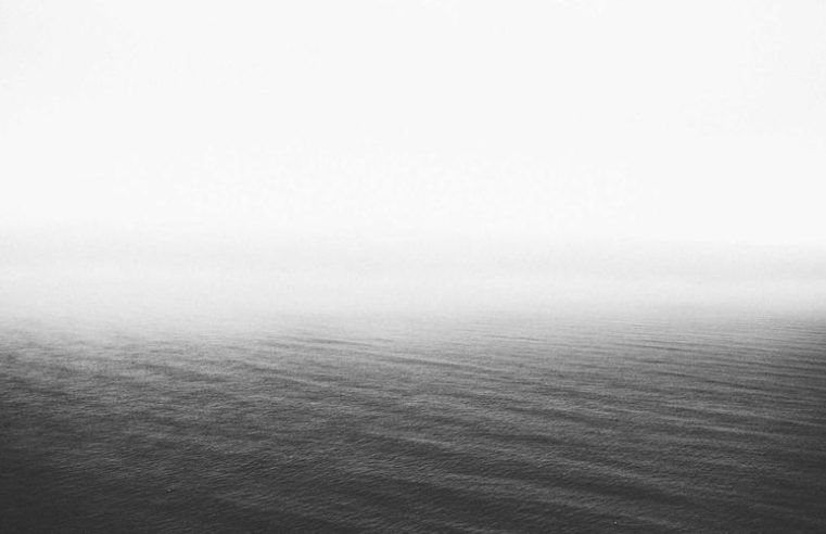 Community Gardens in Detroit Produce Record Harvest for Local Food Banks