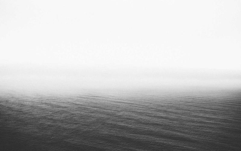 Community Gardens in Detroit Produce Record Harvest for Local Food Banks