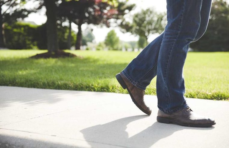 Endangered Iberian Lynx Population Surpasses 2,000 for the First Time