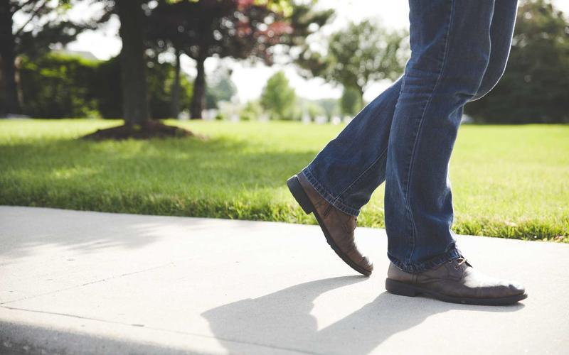 Endangered Iberian Lynx Population Surpasses 2,000 for the First Time