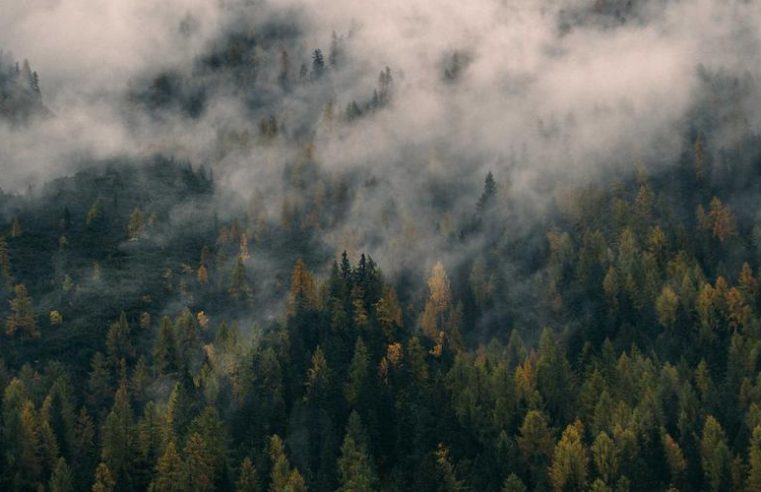 Iceland Achieves 100% Literacy Rate Through a Decade of Community Education