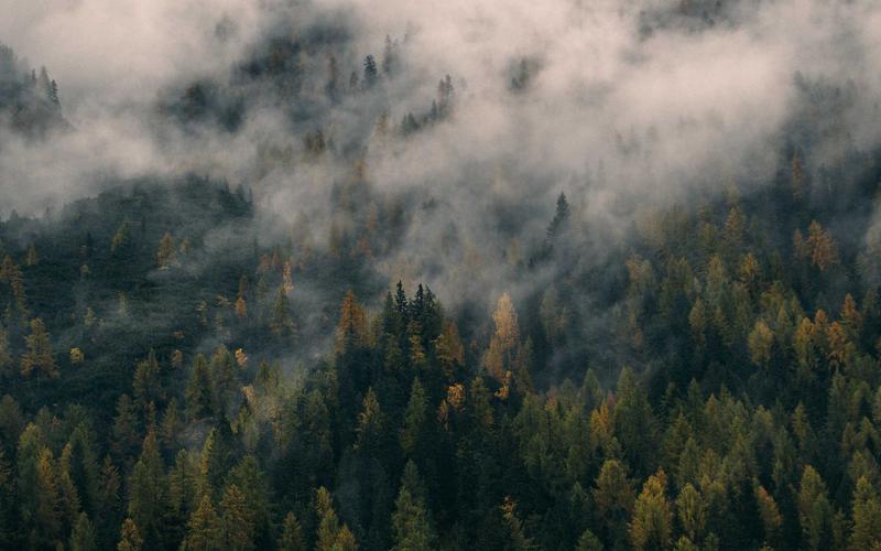 Iceland Achieves 100% Literacy Rate Through a Decade of Community Education