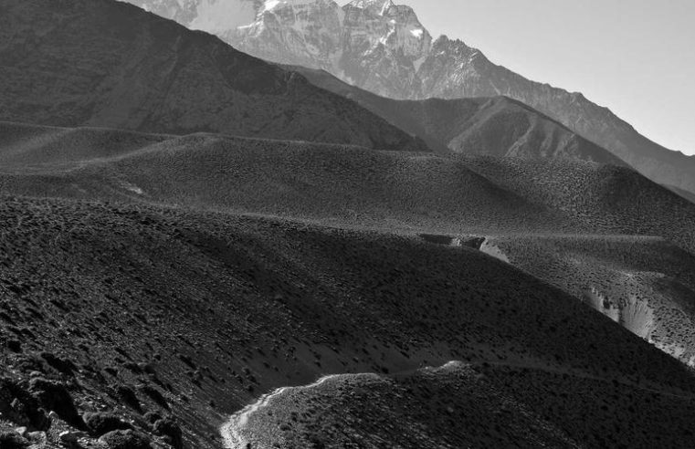 Irish Youth Orchestra Wins International Prize at Vienna Music Festival