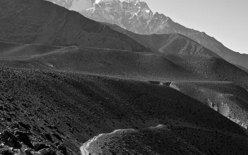 Irish Youth Orchestra Wins International Prize at Vienna Music Festival