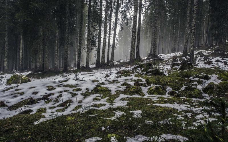 Global Extreme Poverty Drops to Record Low of 7%, World Bank Reports