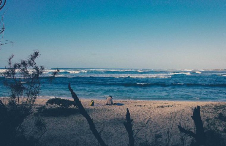 Sea Level Rise Slows in Pacific Atolls After Mangrove Restoration