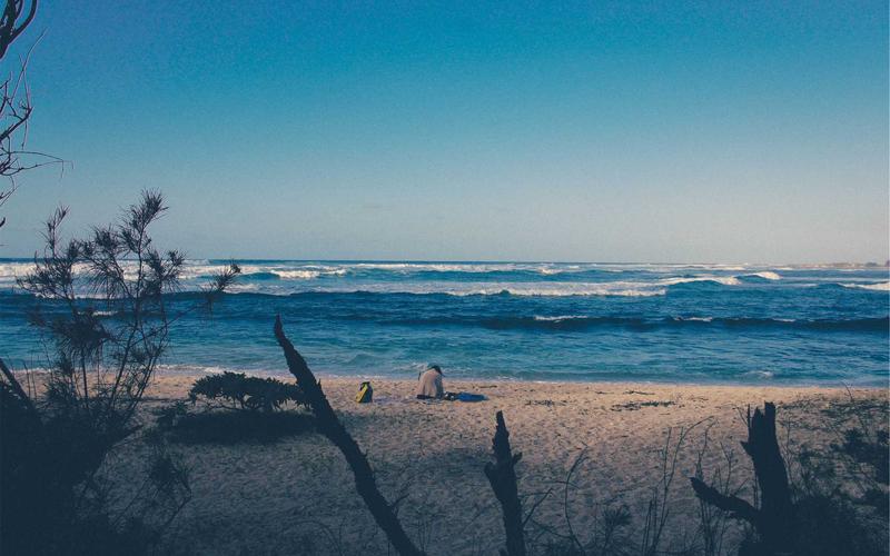 Sea Level Rise Slows in Pacific Atolls After Mangrove Restoration
