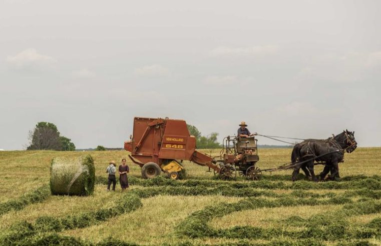 Refugee Artist Exhibition Tours 30 Major Museums Worldwide