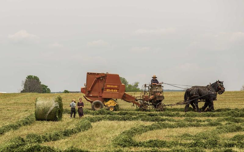 Refugee Artist Exhibition Tours 30 Major Museums Worldwide